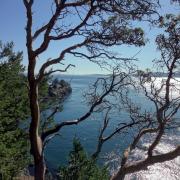 Pender Island waterfront