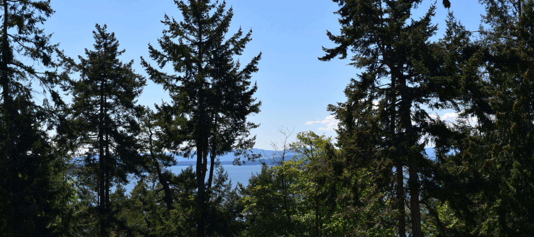 Southern Exposure, Ocean View, 3804 Cutlass Court