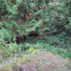 3731 Frigate Road - private & park like property