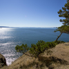 Oceanfront Saturna Island