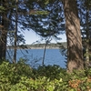 Saturna Island, Waterfront lot, Dockside Realty, Michael Vautour