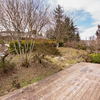Back yard and deck